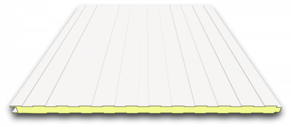 Insulated panels 40mm wall | RAL 9002 (off-white)
